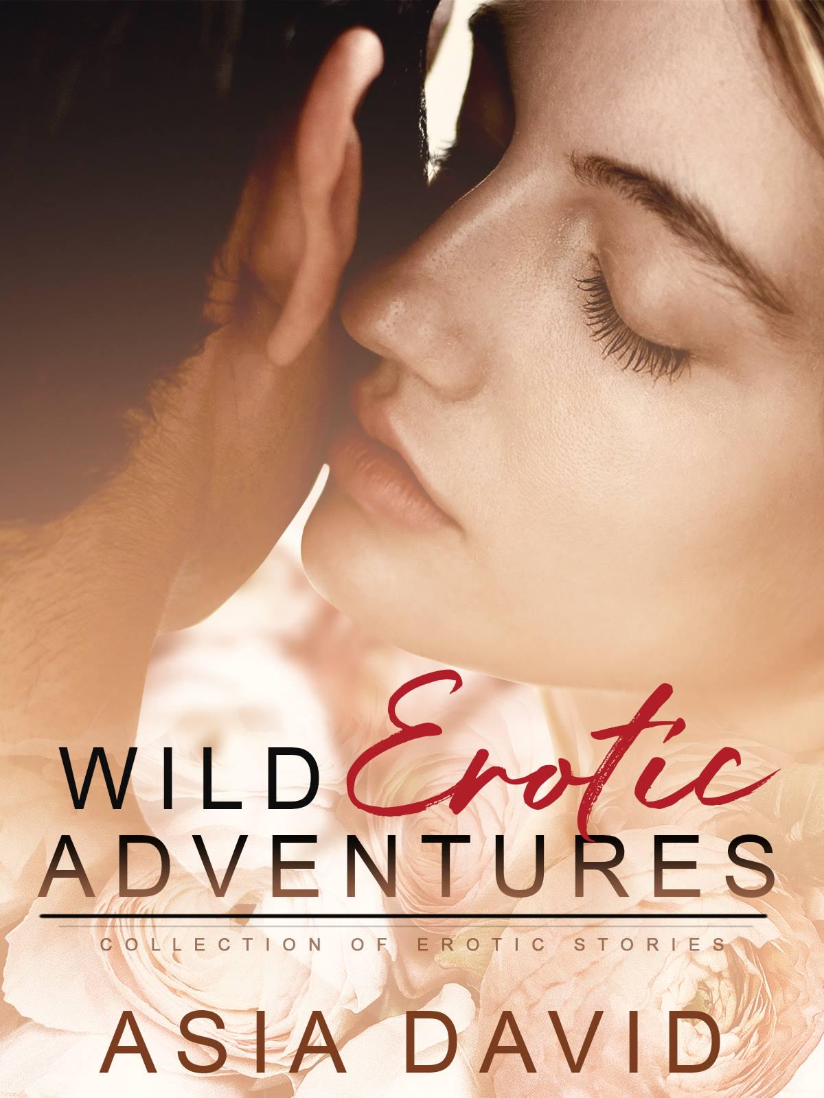 Wild Erotic Adventures cover