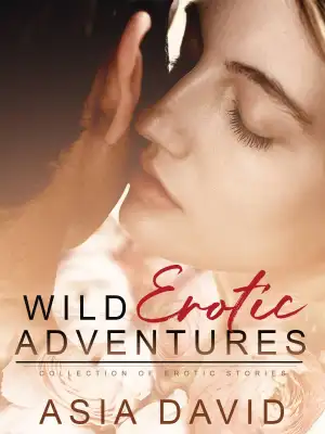 Wild Erotic Adventures cover