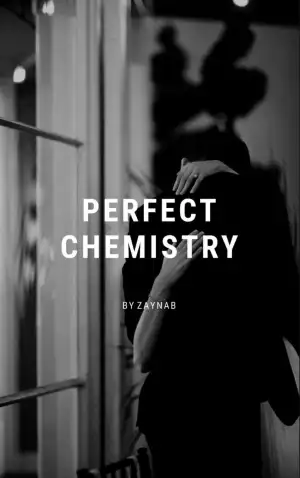 Perfect Chemistry  cover