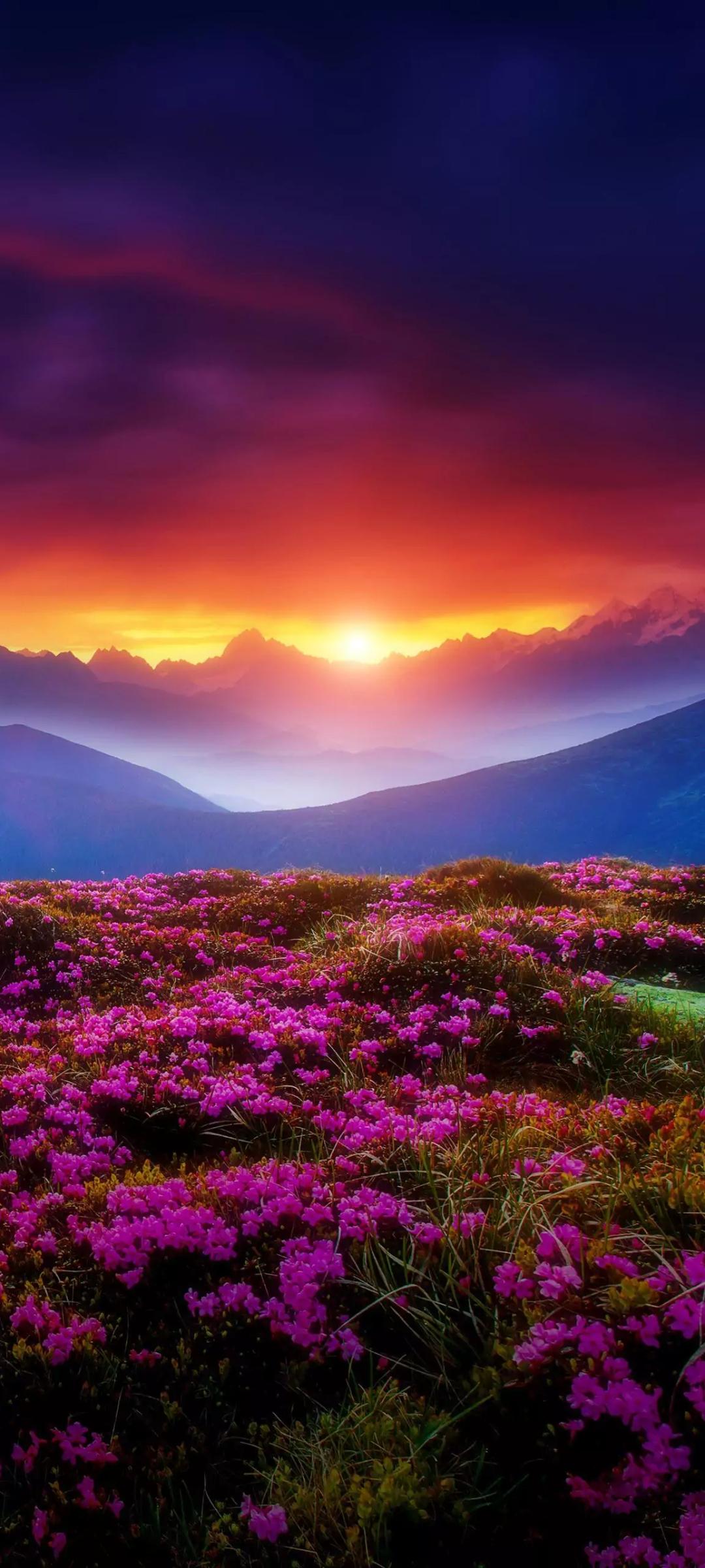 Blossoming Spring Days cover