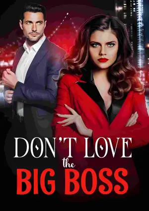 Don't Love the Big Boss cover