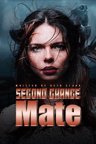 Second Chance Mate cover