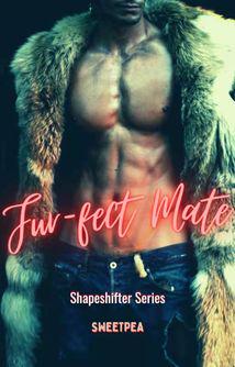 FUR-FECT MATES - A SHAPESHIFTER SERIES cover