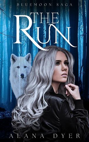 The Run cover