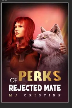 PERKS OF REJECTED MATE cover