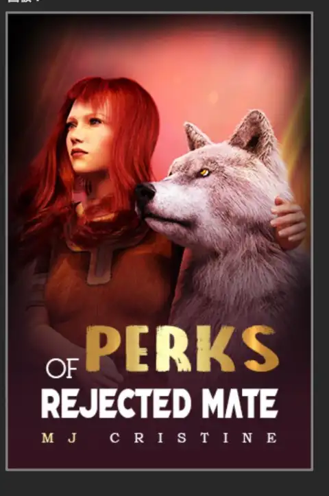 PERKS OF REJECTED MATE cover