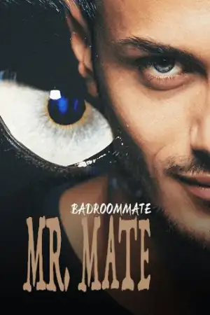 Mr. Mate cover