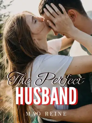 The Perfect Husband cover
