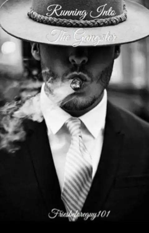 Running Into The Gangster cover