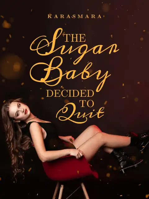 The Sugar Baby Decided to Quit cover